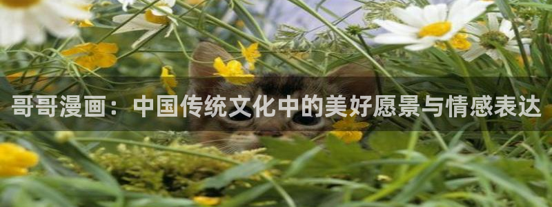 极速漫画改名叫什么了：哥哥漫画：中国传统文化中的美好愿景与情感表达